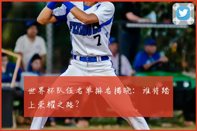 世界杯队伍名单排名揭晓：谁将踏上荣耀之路？