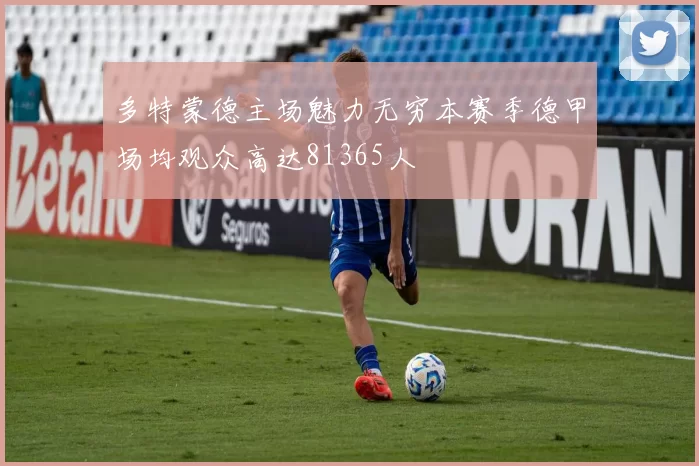 多特蒙德主场魅力无穷本赛季德甲场均观众高达81365人