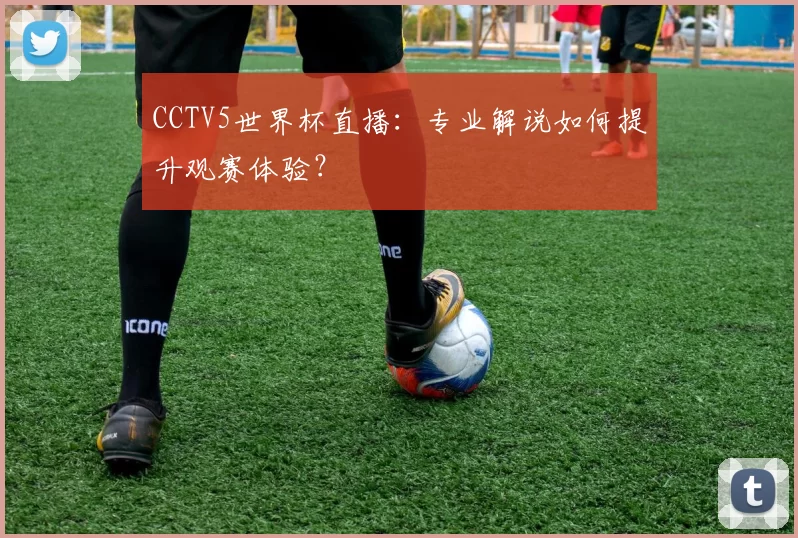 CCTV5世界杯直播:专业解说如何提升观赛体验?
