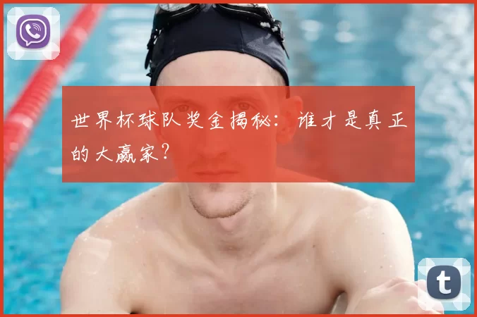 世界杯球队奖金揭秘:谁才是真正的大赢家?