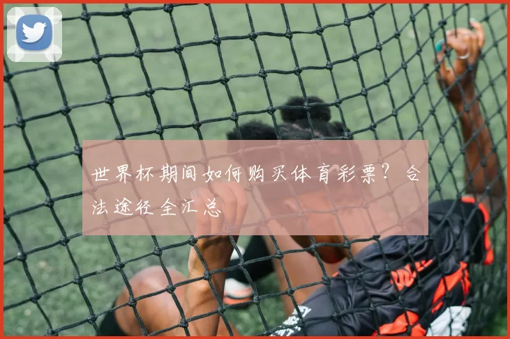 世界杯期间如何购买体育彩票?合法途径全汇总