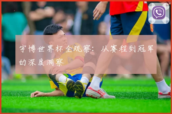 宇博世界杯全观察：从赛程到冠军的深度洞察