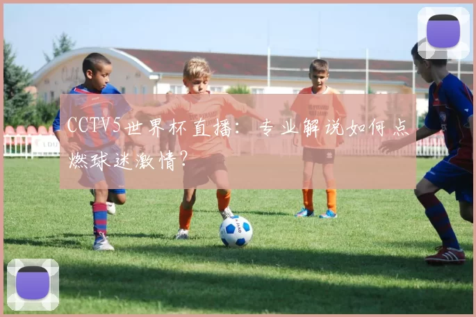 CCTV5世界杯直播:专业解说如何点燃球迷激情?