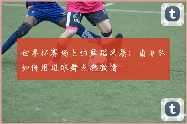 世界杯赛场上的舞蹈风暴：南非队如何用进球舞点燃激情
