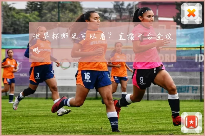 世界杯哪里可以看？直播平台全攻略