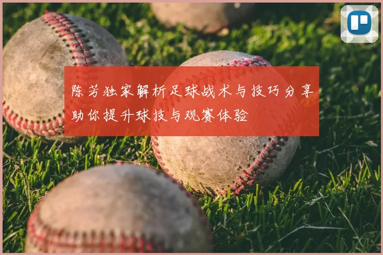 陈芳独家解析足球战术与技巧分享助你提升球技与观赛体验