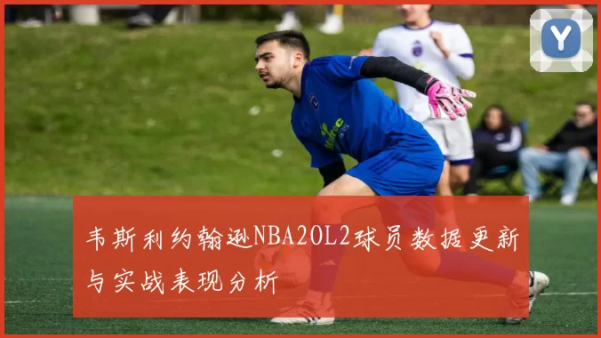 韦斯利约翰逊NBA2OL2球员数据更新与实战表现分析