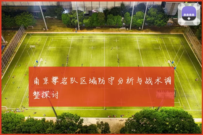 南京攀岩队区域防守分析与战术调整探讨