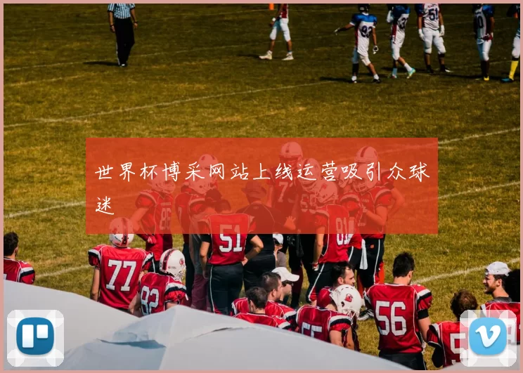 世界杯博采网站上线运营吸引众球迷