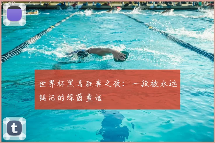 世界杯黑马狂奔之夜：一段被永远铭记的绿茵童话