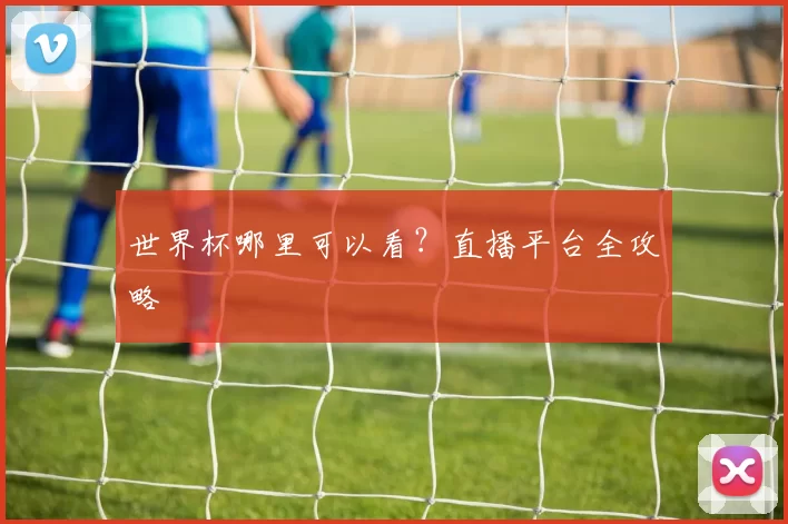 世界杯哪里可以看?直播平台全攻略