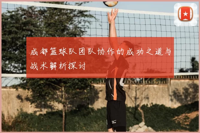 成都篮球队团队协作的成功之道与战术解析探讨